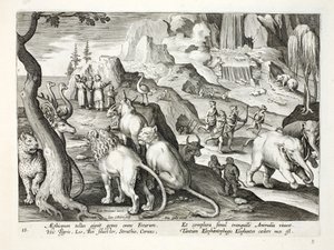 Regionen Etiopia produserer alle slags dyr - tigre, løver, villokse, struts, hjort og andre dyr lever fredelig sammen. Det er skikken å jakte på elefanter, illustrasjon fra 'Venatione